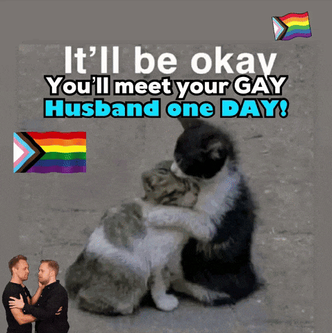 a picture of two cats hugging with the words " it 'll be okay you 'll meet your gay husband one day " above them