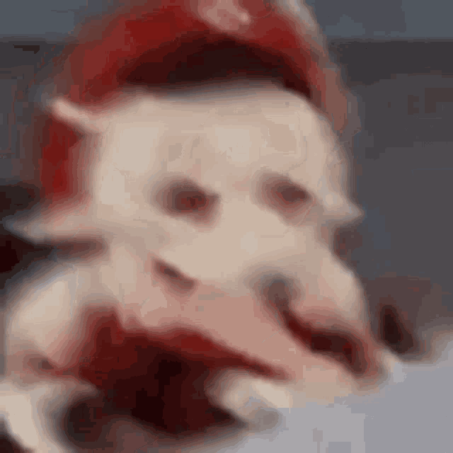 a close up of a white dog wearing a red hat and holding a piece of meat .