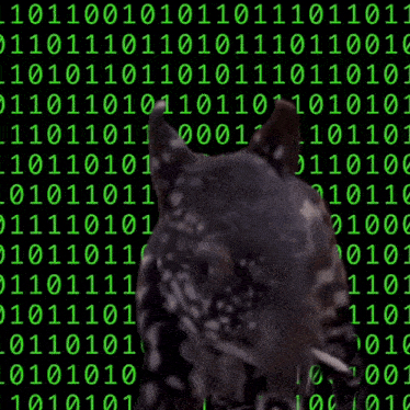 a baby tapir is standing in front of a binary code background