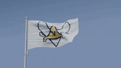 a white flag with a yellow and black logo on it