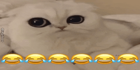 a cat with tears coming out of its eyes is surrounded by laughing emoticons