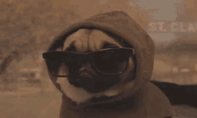 a pug dog wearing a hoodie and sunglasses is looking at the camera .