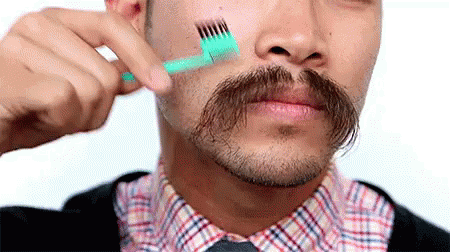 Baffi Pettinare Pettine GIF - Mustache Groom Hair GIFs