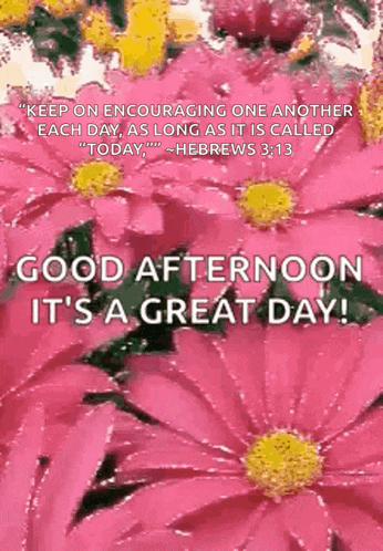 a picture of pink flowers with a quote from hebrews 3:13 on it