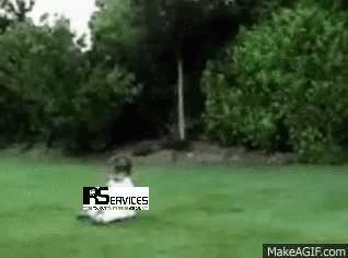 Irservices Mauricejoffe GIF - Irservices Mauricejoffe Taxseason GIFs