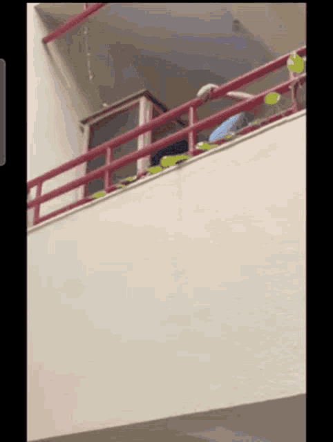 a person is standing on a balcony with a red railing .