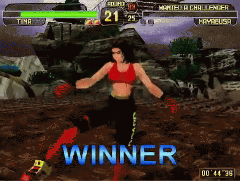 Dead Or Alive Video Games GIF - Dead Or Alive Video Games Winning GIFs