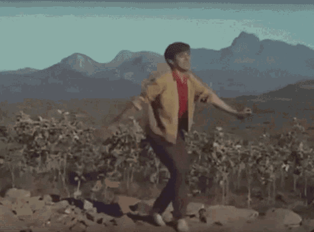 Celebrate Happiness GIF - Celebrate Happiness Yes GIFs