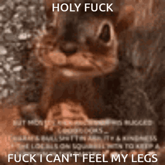 Cant Feel My Legs Squirrel GIF - Cant Feel My Legs Squirrel Nut GIFs