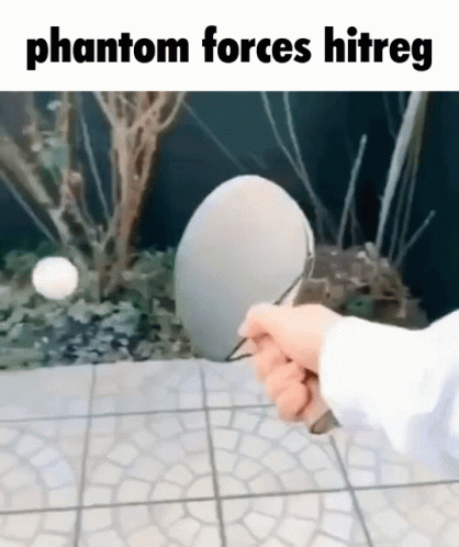 Hitreg Phantom Forces GIF