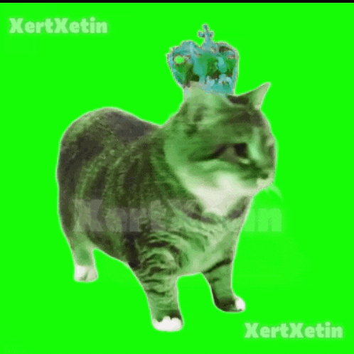 a cat with a crown on its head is on a green background with the name kertxetin on it