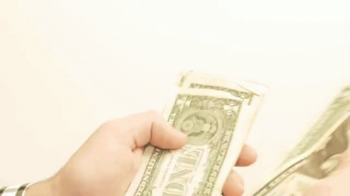 Counting Money GIF - Counting Money Rich GIFs