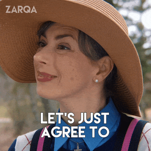 Let'S Just Agree To Disagree Shall We Carol GIF - Let'S Just Agree To Disagree Shall We Carol Zarqa GIFs