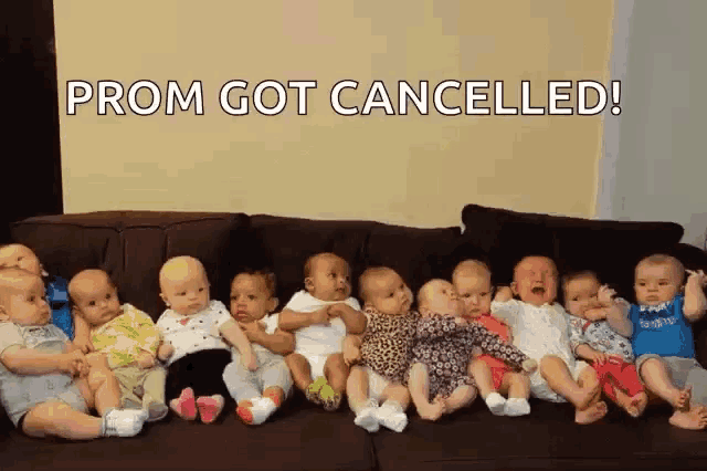 a group of babies are sitting on a couch with prom got cancelled written on the bottom .
