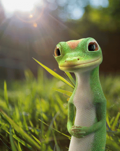 Confidant Gecko GIF - Confidant Gecko GIFs