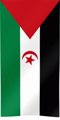 Rasd Maroc GIF - Rasd Maroc Flag Of Western Sahara GIFs
