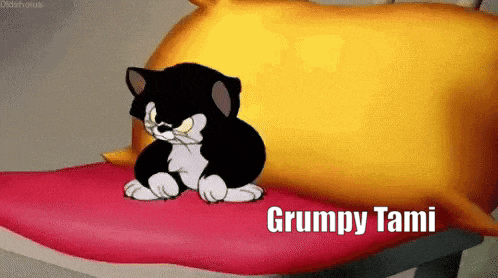a black and white cat is sitting on a red pillow with the words grumpy tami written below it