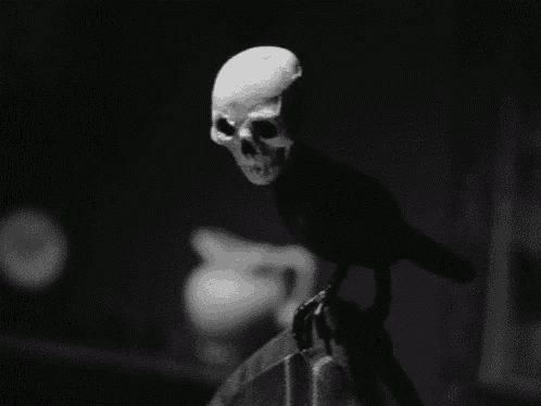 a black and white photo of a bird with a skull head .