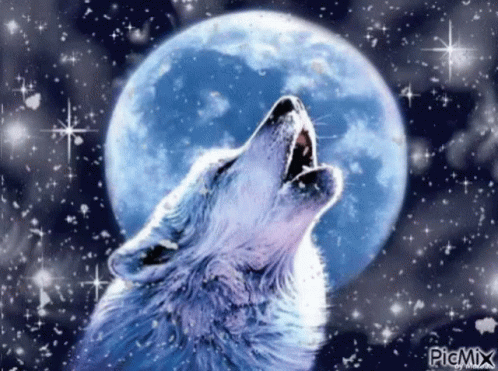 Cold Wolf GIF - Cold Wolf Moon GIFs