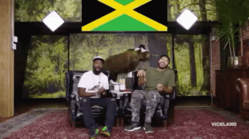 Desus And Mero Jamaica GIF - Desus And Mero Jamaica Fireworks GIFs