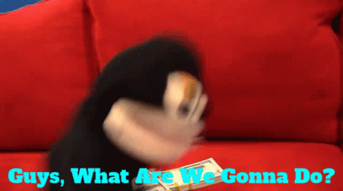 Sml Junior GIF - Sml Junior Guys What Are We Gonna Do GIFs