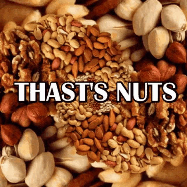 Thats Nuts GIF - Thats Nuts GIFs
