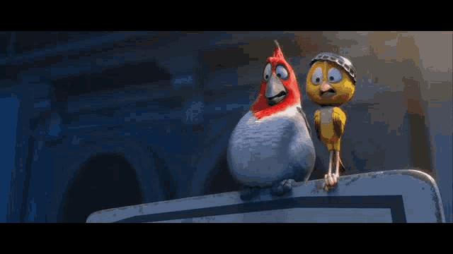two cartoon birds are sitting on a sign and the word awkward is above them