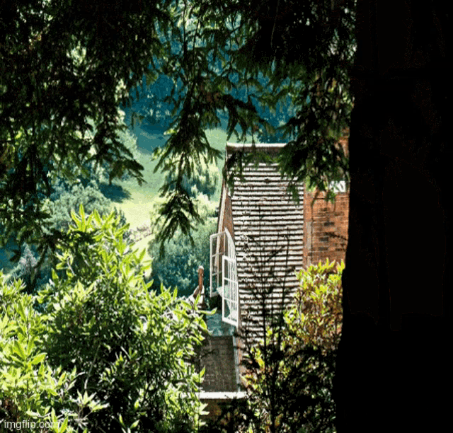 a house with a roof that has shingles is surrounded by trees and bushes