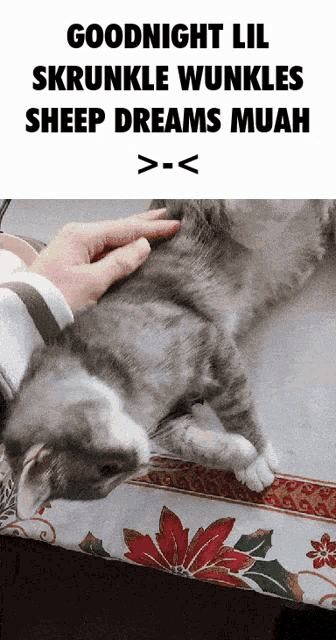 a person petting a cat on a table with the words goodnight lil skrunkle wrinkles sheep dreams muah