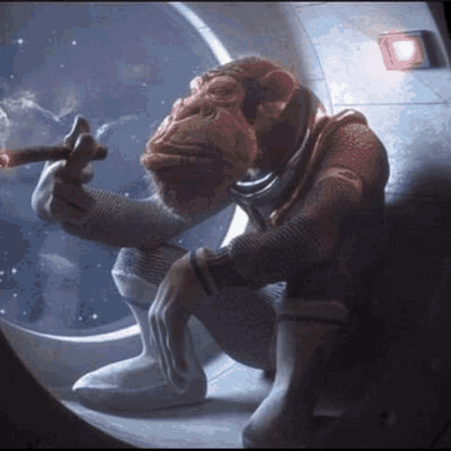 a chimpanzee in a space suit is smoking a cigar .
