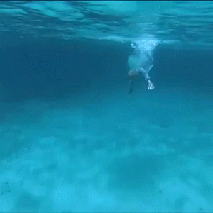 Dive GIF - Dive Water Clear GIFs
