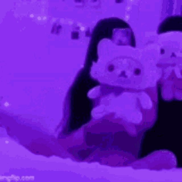 a person is holding two stuffed animals in front of a purple background .