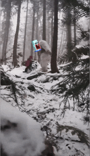 a snowy forest with a person carrying a box that says ' i love you '