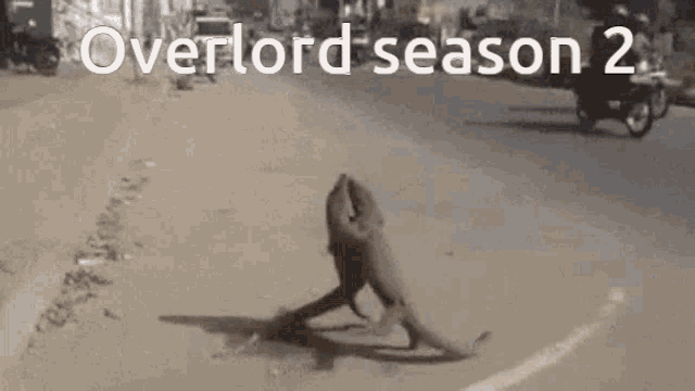 a lizard is walking down a street with the words `` overlord season 2 '' written on the bottom .