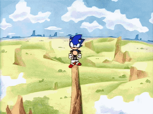 Sonic Cd Sonic The Hedgehog GIF - Sonic Cd Sonic The Hedgehog Toei Sonic GIFs