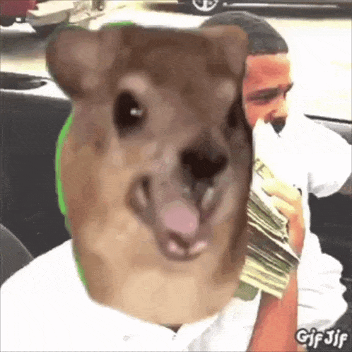 a dog with a man 's face on it is holding a stack of money .