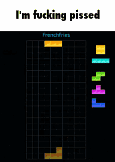 a screenshot of a tetris game that says i 'm fucking pissed frenchfries