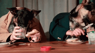 two dogs wearing suits are sitting at a table eating food and drinking water .