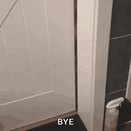 a door with a spray bottle next to it and the words `` bye '' on it .