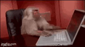 a monkey is sitting in a chair in front of a laptop computer .
