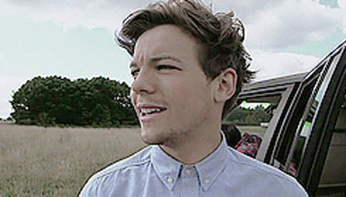 Louis Tomlinson One Direction GIF - Louis Tomlinson One Direction Whats That GIFs