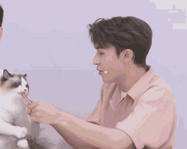 a man in a pink shirt is feeding a cat