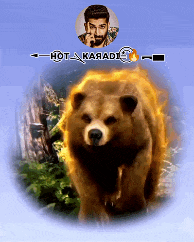 a picture of a bear and a man with the words hot karadie
