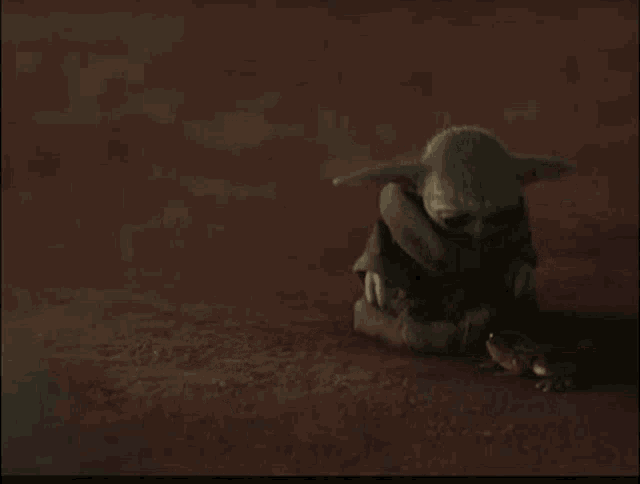 a baby yoda is standing next to a small frog on the ground .