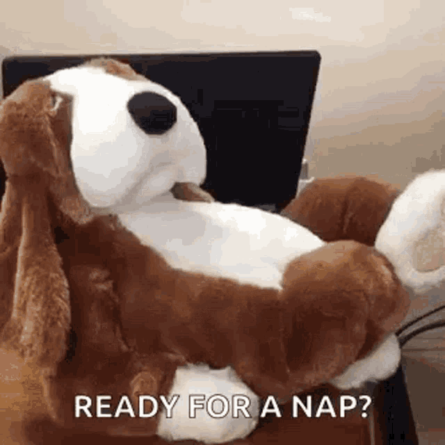 Long Day Ready For A Nap GIF - Long Day Ready For A Nap Relax GIFs