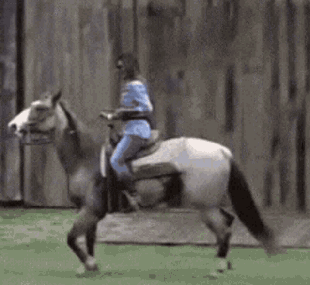 a woman is riding a horse on a grassy field .