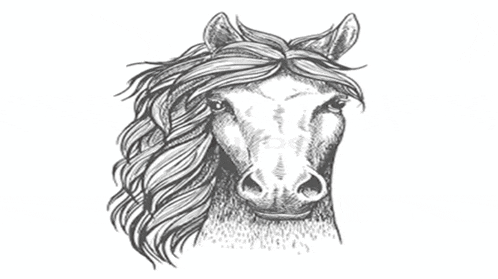 a black and white drawing of a horse 's head with a long mane on a white background .