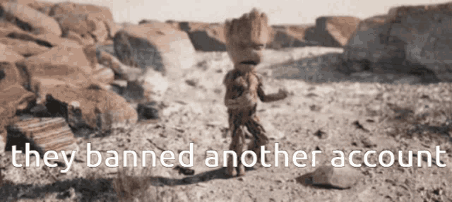 a picture of groot in the desert with the words " they banned another account "