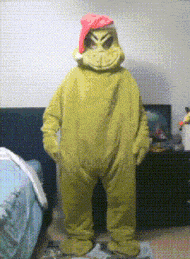 a person in a grinch costume with a red hat