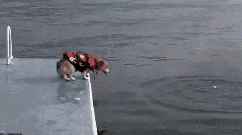 a person is swimming in the water near a boat with the word silverhole on the bottom